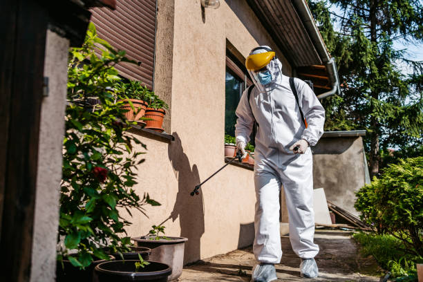 Insect Control in New Vienna, OH