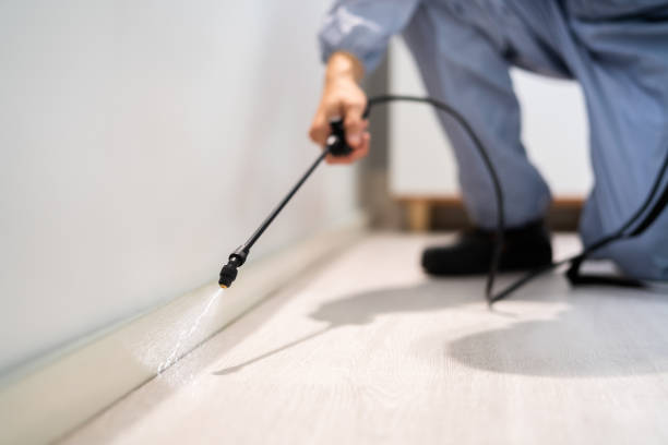Best Flea Control Services  in New Vienna, OH