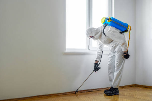 Best Termite Control Services  in New Vienna, OH