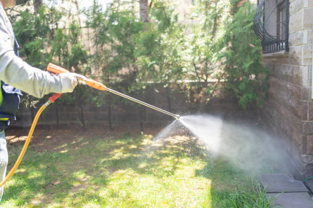 Best Rat Extermination Near Me  in New Vienna, OH
