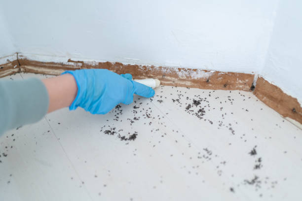 Best Wildlife Control Services  in New Vienna, OH